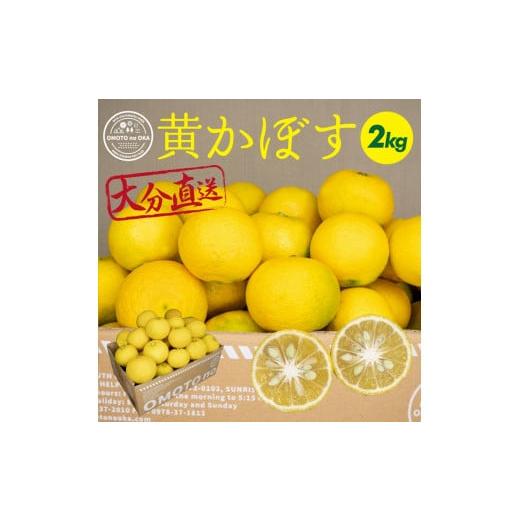 ふるさと納税 大分県 宇佐市 A-437おもとの丘の黄かぼす (完熟カボス) 約2kg カボス かぼす 黄かぼす 完熟かぼす 柑橘 大分県産 大分県宇佐市産 1…