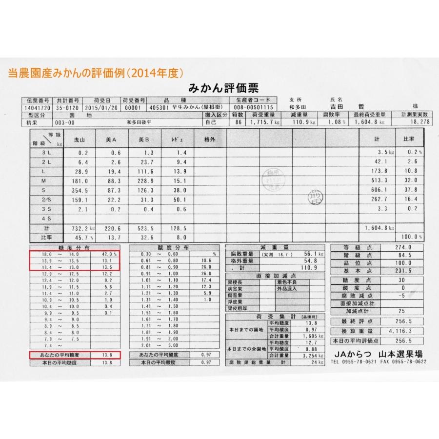 （等級 “優” 唐津産 5kg）最高食味の完熟栽培みかん