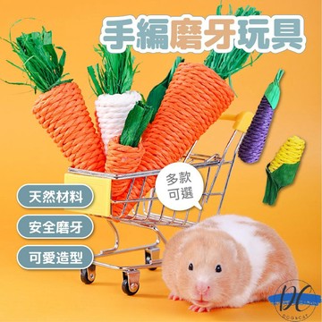 【DC寵物有發票】🐾小寵玩具 倉鼠啃咬棒 倉鼠磨牙棒 倉鼠磨牙玩具 兔子磨牙棒 小寵物用品 黃金鼠 刺蝟 兔子 B050