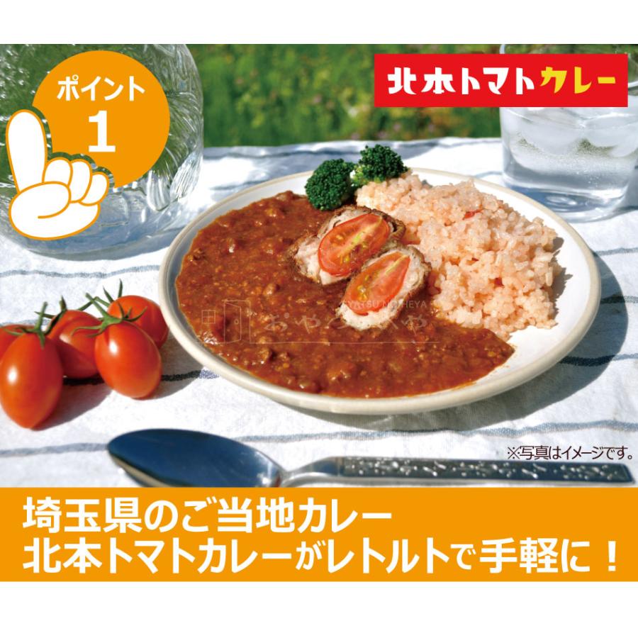 北本 トマト カレー 200g×2個 クリックポスト（代引き不可） レトルト ご当地カレー グランプリ 優勝 保存食