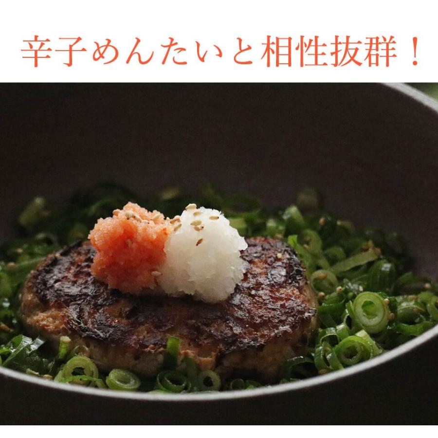 明太子に合う!さとふるで1位の唐津バーグとご飯のお供セット 福さ屋 お歳暮 ギフト