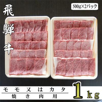 ふるさと納税 輪之内町 A5ランク飛騨牛赤身肉焼き肉用1kg(モモ又はカタ)