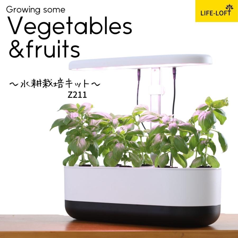 水耕栽培セット おしゃれ 長方形 植木鉢 植物用育成ライト 室内 水耕栽培セット おしゃれ 長方形 植木鉢 植物用育成ライト 室内