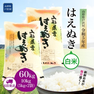 令和5年産 はえぬき  60kg 定期便 (10kg×6回) 山形県戸沢村