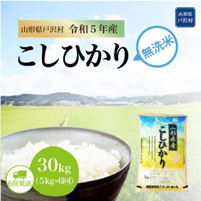 ふるさと納税 戸沢村  コシヒカリ 定期便 30kg(5kg×6回お届け)山形県 戸沢村