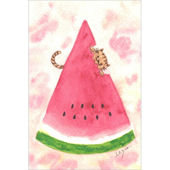ポストカード イラスト Marron125 スイカを食べる猫 100 150mm 作家 水彩画 夏の果物 かわいい 通販 Lineポイント最大0 5 Get Lineショッピング