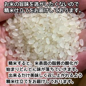 ふるさと納税 令和５年新潟県南魚沼産コシヒカリ新米／白米5ｋｇ／精米／特別栽培米／低農薬《食味値95点以上！生産者こだわり極.. 新潟県南魚沼市