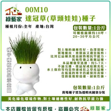 【綠藝家】00M10.達冠草(草頭娃娃)種子1公斤 草皮種子 綠色草皮 草皮種子大包裝