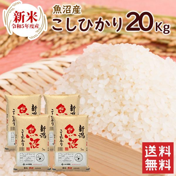 新米 魚沼産（新潟県）コシヒカリ 20kg（5kg×4袋）  送料無料 令和5年度産 魚沼産 新潟県産 お米 20kg（北海道・沖縄別途送料）（配達日・時間指定は不可）