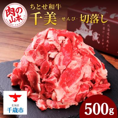 ふるさと納税 千歳市 ちとせ和牛「千美」切落し 500g＜肉の山本＞