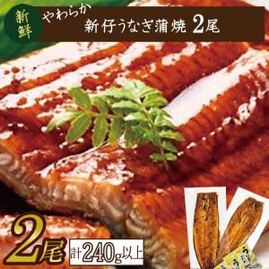 ふるさと納税 AD-85　やわらか新仔うなぎ蒲焼120〜140ｇ　2尾　計240ｇ以上 茨城県行方市