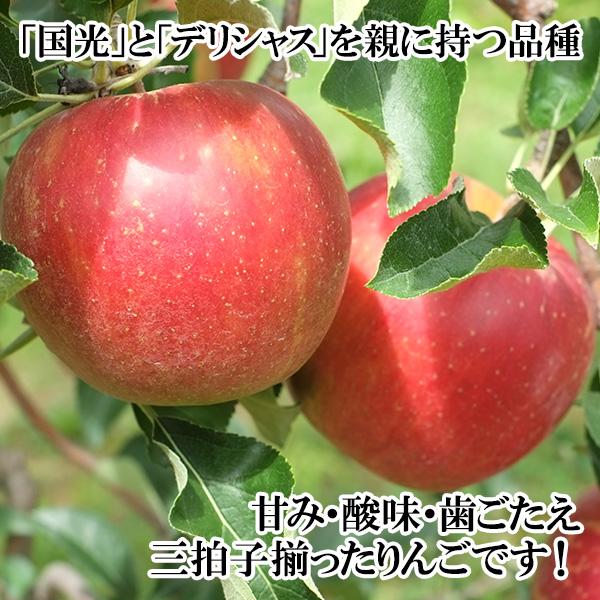 りんご 訳あり 3kg 林檎 岩手県 ふじ リンゴ 訳アリ 果物 フルーツ Fruits ご当地グルメ 産地直送