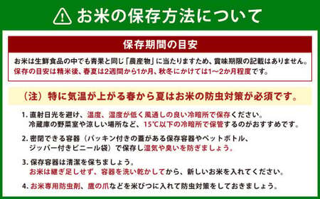 くまさんの輝き10kg(5kg×2袋) × 6回(計60kg)お米 精米