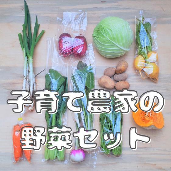 販売期間2024 01 31まで 野菜 セット・詰め合わせ 『子育て農家の野菜セット』　S　7〜8品目 産地直送