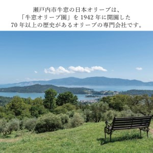 オリーブ オイル 3品 セット ガーリック ピュア 赤屋根 油 オリーブ油 食用油 調味料 詰め合わせ ギフト 贈り物