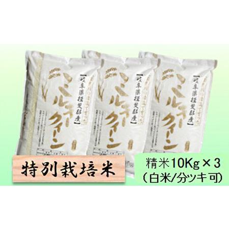 ふるさと納税 特別栽培米★精米30kg（白米 5分 7分ツキ可） 玄米は別に出品 7分ヅキ 岐阜県池田町