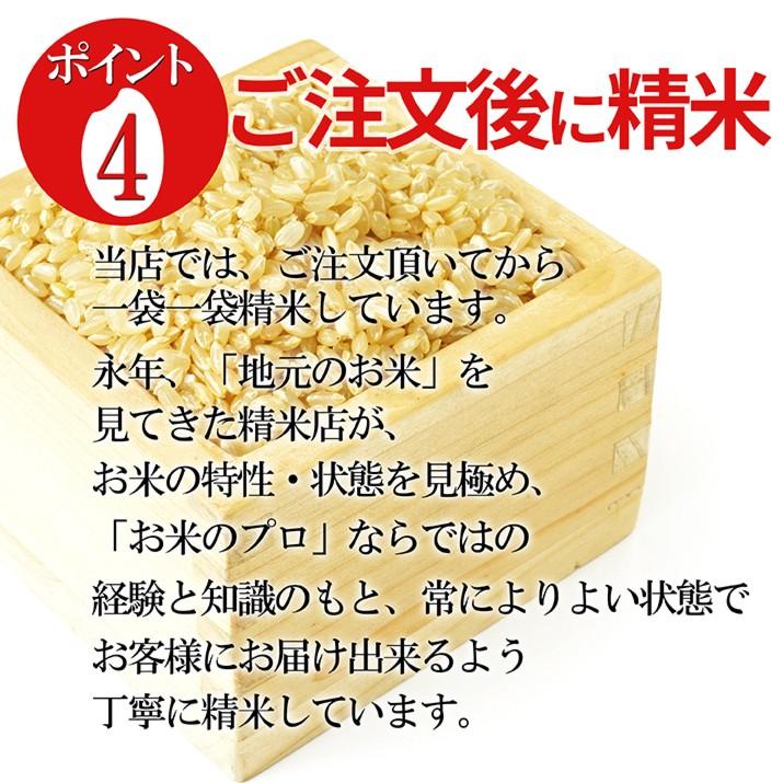 令和5年産 2023 新米 山形県産 こしひかり 白米 30kg(5kg×6袋) 特Ａ米 精米 一等米 ギフト 産地直送 通販 ブランド米 東北の米 送料無料