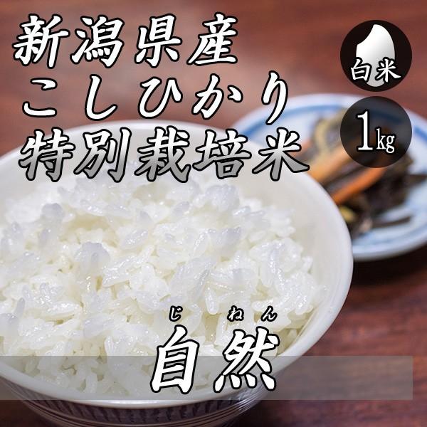 お米 1kg 新潟産 コシヒカリ 特別栽培米 自然コシヒカリ 1kg×1袋 令和5年産 米 白米