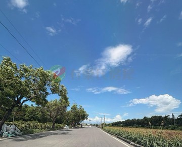 元長鄉臨台19線有電有水井2.7分方正農地｜雲林縣元長鄉西湖段