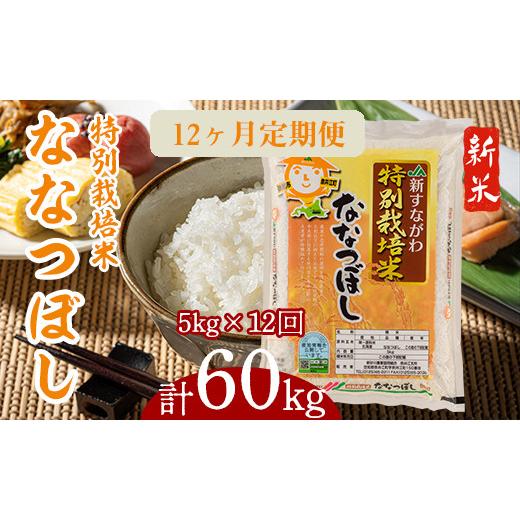 ふるさと納税 北海道 奈井江町 『特別栽培米ななつぼし5kg』定期便！毎月1回・計12回お届け