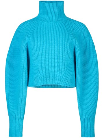 Nina Ricci - turtleneck chunky-ribbed jumper - women - Wool - M - Blue