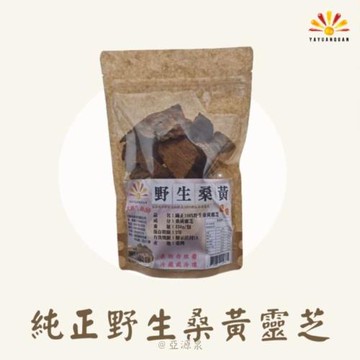 【亞源泉】純正100%野生桑黃靈芝 150g/包 (贈亞源泉系列商品2包)