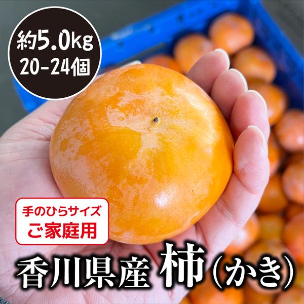 富有柿 香川県産 約5kg (訳あり・サイズ混合) 高い糖度と食べごたえのある食感
