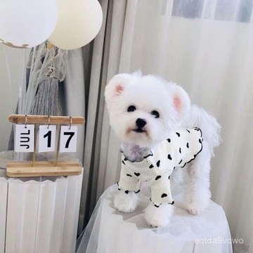 💯臺灣出貨💯免運💯貓咪狗狗打底衫夏季泰迪比熊博美小型犬小狗狗寵物可愛衣服 X0VP