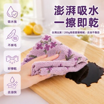 台灣出貨✨ 珊瑚絨吸水抹布 廚房清潔不掉毛 洗碗專用方巾 強力去油家用 25x25cm 紫色