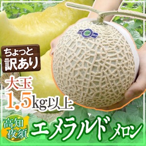 高知県夜須産 ”エメラルドメロン” ちょっと訳あり 大玉 約1.5kg以上 送料無料