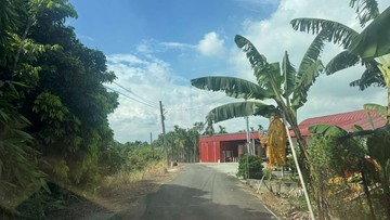 屏東土地-高樹菜寮果園｜屏東縣高樹鄉三王段