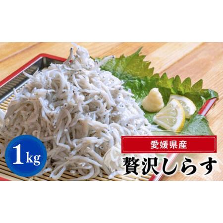 ふるさと納税 しらす 1kg 1kg × 1パック 冷凍 小分け 釜揚げ しらす丼 魚 しらす さかな しらす ご飯 しらす 炒飯 じゃこ しらす 愛.. 愛媛県松山市