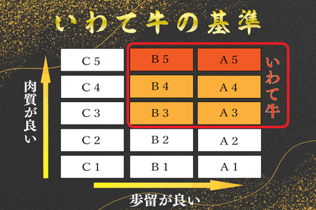 AB019　いわて牛肩ロースカルビ焼肉600ｇ