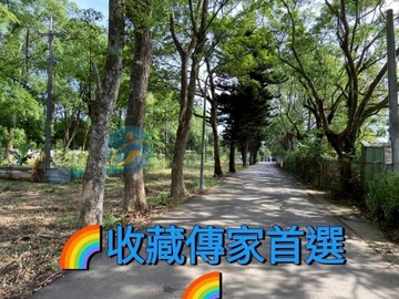 紅花綠樹旁美農地B｜桃園市龍潭區三林段