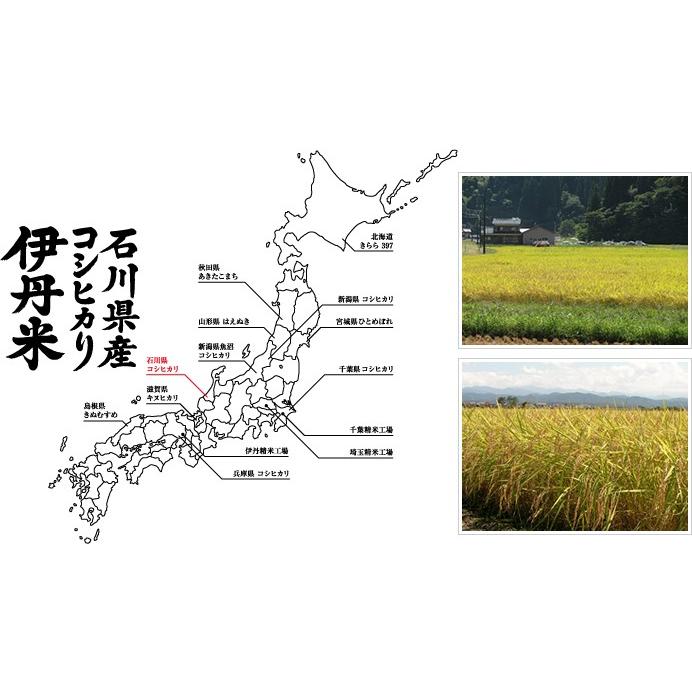 新米 コシヒカリ 石川県産こしひかり 10kg(5kg×2袋) 送料無料 令和5年産 石川コシヒカリ 伊丹米 精米 ギフト 内祝い  お歳暮 熨斗承ります