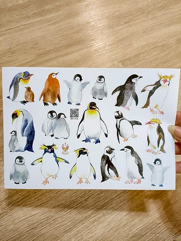 極圈動物貼紙(企鵝/海豹/北極熊/雪狐)