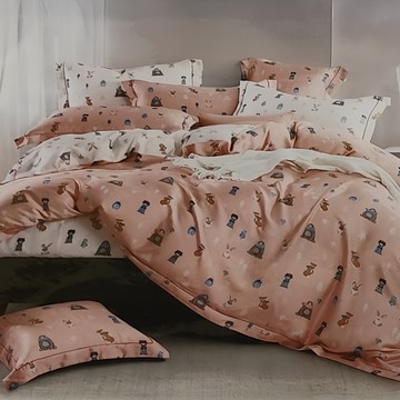 Betrise 貝翠絲 C量能系列 奧地利天絲光淬石墨烯 天絲兩用被床包組  兩用被 + 床包 + 枕套2個  雙人特大  柔情似水粉