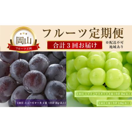 ふるさと納税 ぶどう 2024年 先行予約 晴れの国 おかやま の フルーツ 定期便  葡萄 ニュー ピオーネ シャイン マスカット 岡山県瀬戸内市