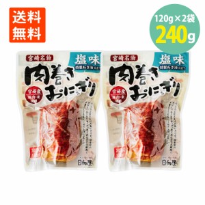 日向屋 肉巻きおにぎり塩味 120g×2袋 宮崎名物 日向屋 レンチン お手軽 主食 間食 常備 常温保存 送料無料