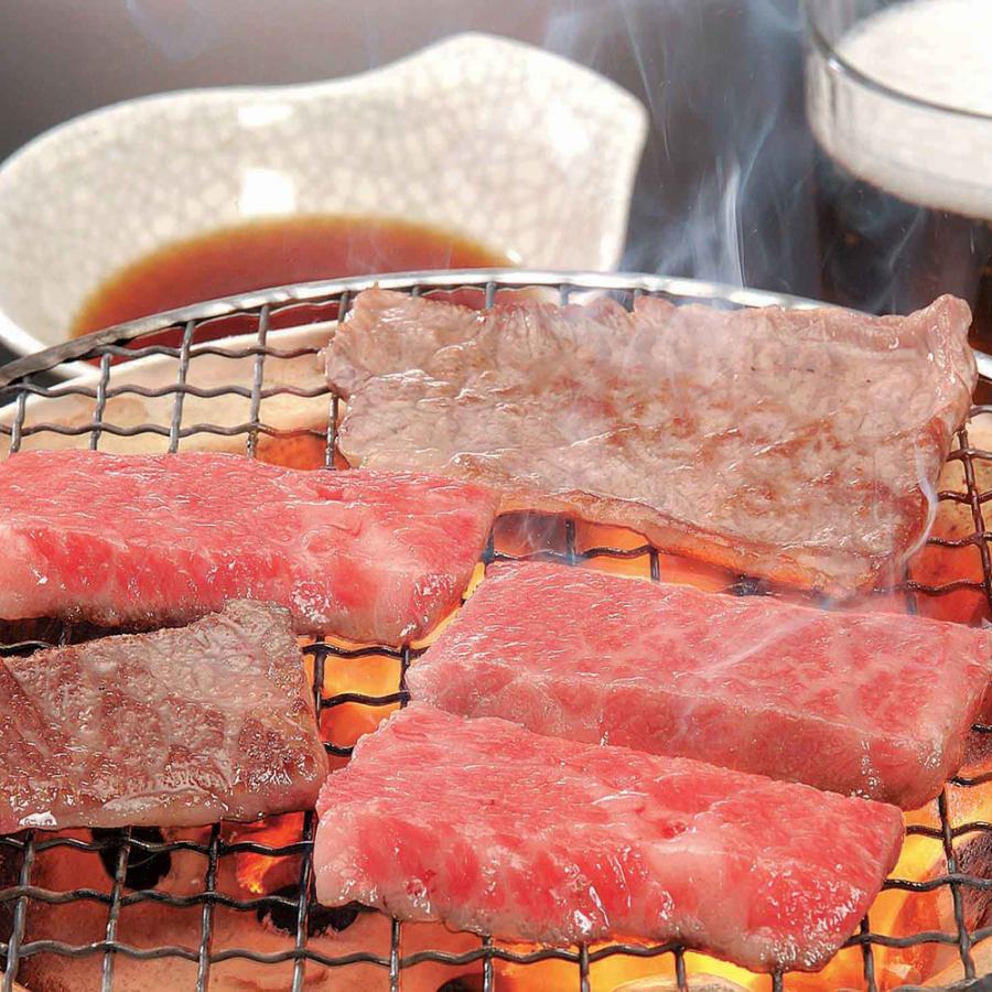 岐阜 飛騨牛焼肉 (モモ・バラ250g) 牛肉 お肉 食品 お取り寄せグルメ ギフト 贈り物