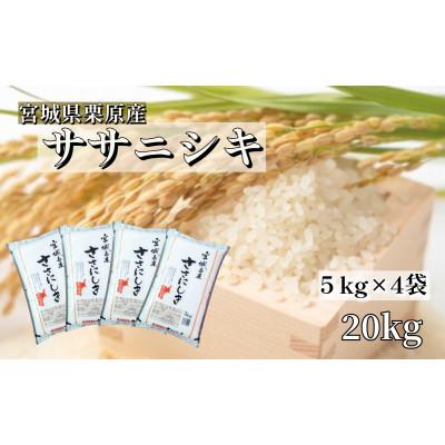 ふるさと納税 栗原市 宮城栗原産 ササニシキ 白米20kg (5kg×4袋)