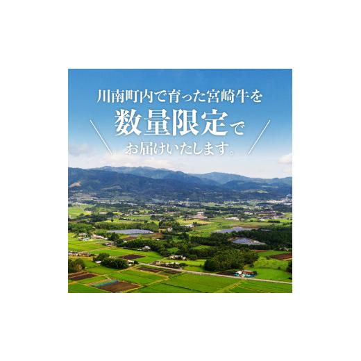 ふるさと納税 宮崎県 川南町 ※令和6年3月発送※宮崎牛焼肉6種 600g