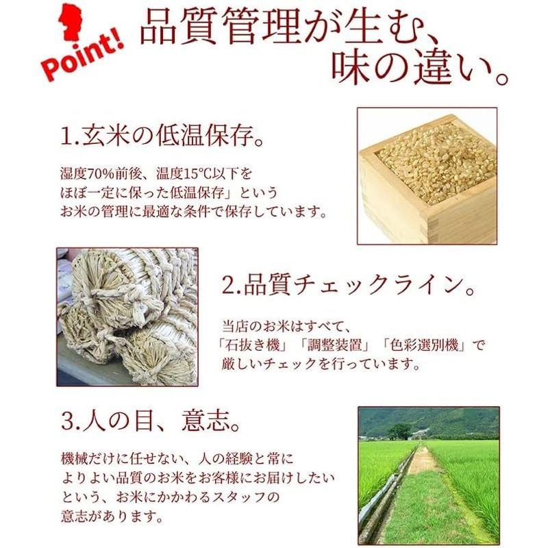 玄米 山形県産 はえぬき 30kg 令和4年産 新米