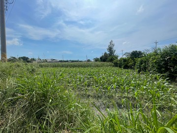獨賣~芳苑臨功湖北路一般農雙面路農地~開價可談｜彰化縣芳苑鄉芳草段