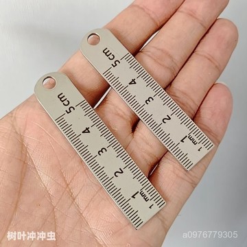 臺灣出貨⚡加厚不銹鋼小鋼尺5cm便攜小尺子迷你小直尺鑰匙扣掛件小短尺4釐米 TZNA