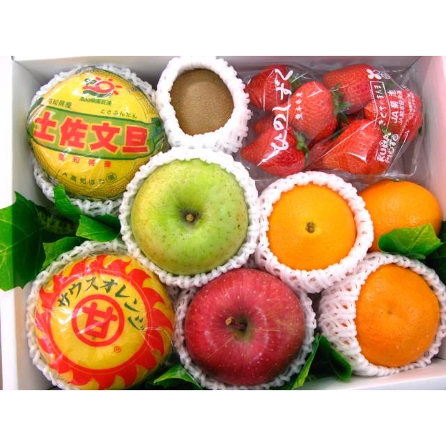 果物フルーツ　fruit　お見舞い　あすつく　送料無料（北海道、沖縄県は送料1000円追加させていただきます。）