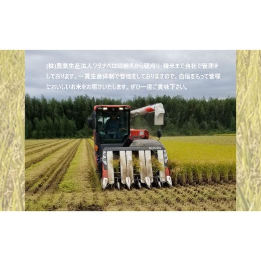 ふるさと納税 栃木県 鹿沼市 栃木県鹿沼市産 とちぎの星 無洗米 5kg 3回お届け 令和5年産 水稲うるち精米 単一原料米 お米  特A 大粒 [No.584…