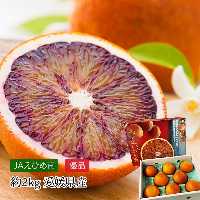 オレンジ 愛媛県産 ブラッドオレンジ 優品 約2kg 8〜10玉