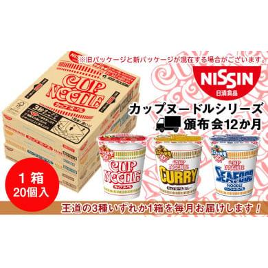 ふるさと納税 北海道 千歳市 日清　カップヌードルシリーズ20個入