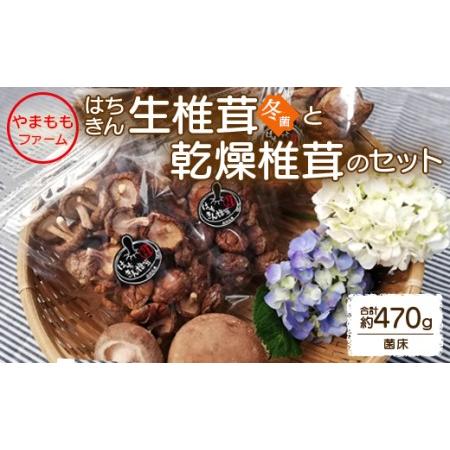 ふるさと納税 やまももファーム椎茸 冬菌はちきん生椎茸と乾燥椎茸のセット(合計約470g) しいたけ きのこ キノコ 野菜 国産 yo-0014 高知県香南市